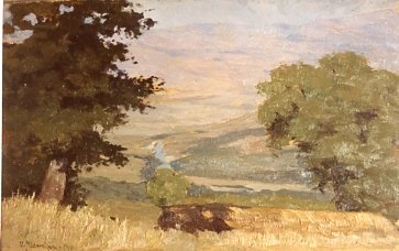 1909 - Torre Alfina